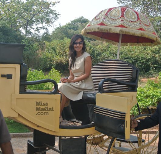 Taj Falaknuma, horse carriage