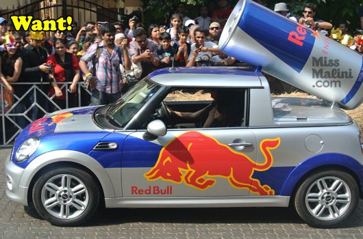 The RedBull Soap Box Race 2012 (It Came, It Saw, It Rolled Down the Hill!)