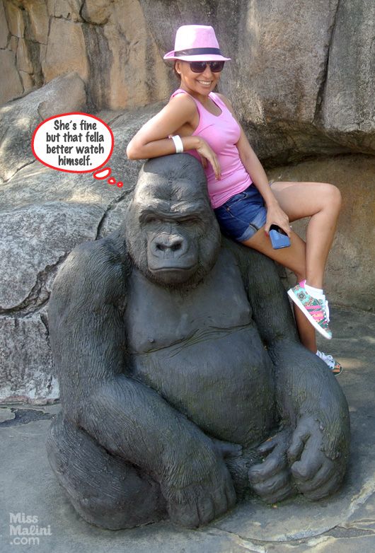 King Julian &#038; The Taronga Zoo! #DesiGirlTraveler