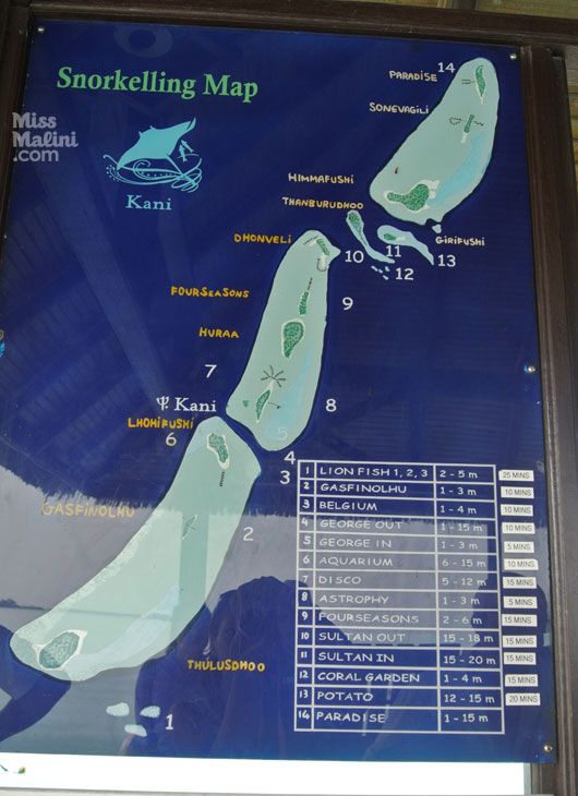 snorkelling at Club Med Kani