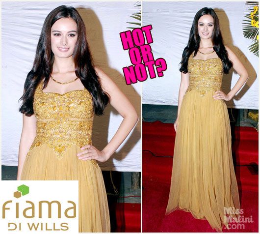 Hot or Not? Evelyn Sharma in Rocky S.