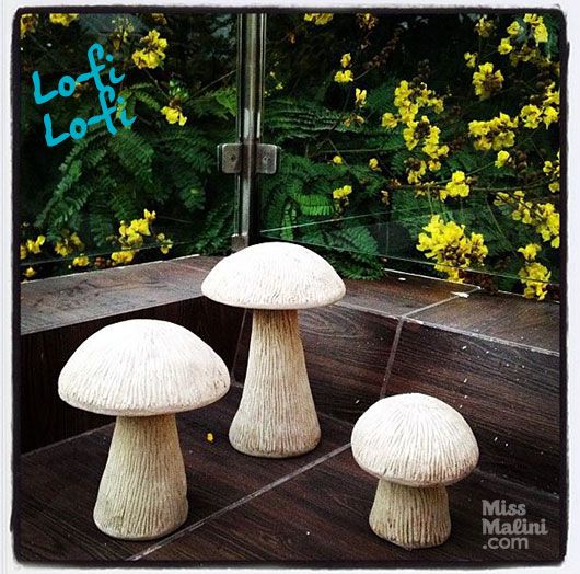 Garden Gnomes - Mushrooms
