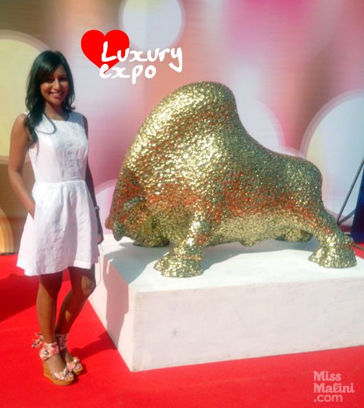MissMalini at Indian Luxury Expo