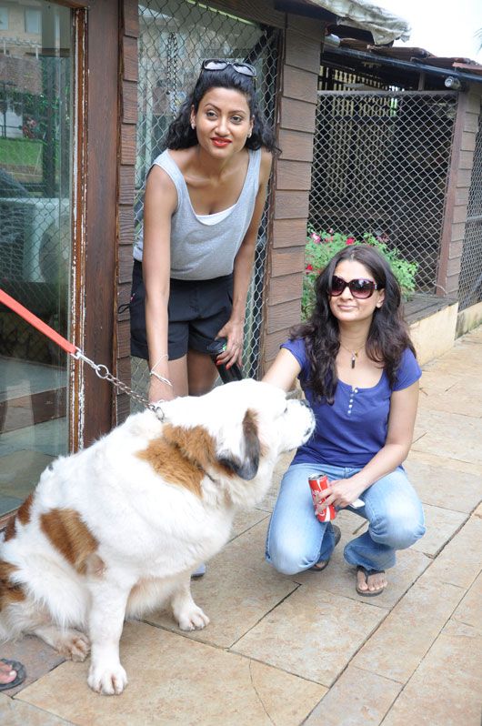 Nigaar Z Khan and Tejaswani Kolhapure doing the dog walk at Della Adventure