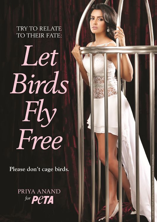 Fukrey Star Priya Anand Urges Fans to Let Birds Fly Free