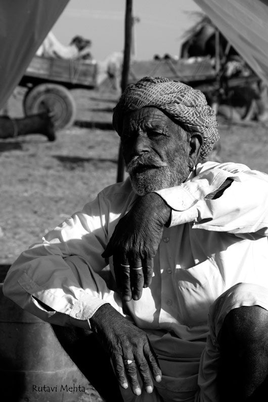 Rajasthani camel trader