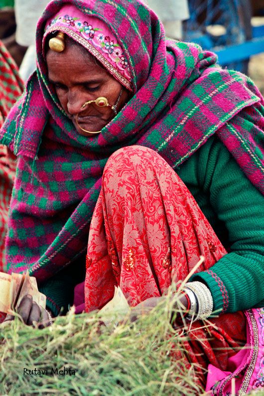 Rajasthani women selling camel feed