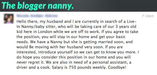 The blogger nanny