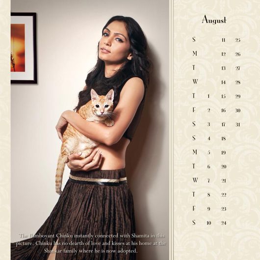 Supermodels Alesia Raut, Shamita Singha, Freddy Daruwalla Promote Pet Adoption on a Calendar