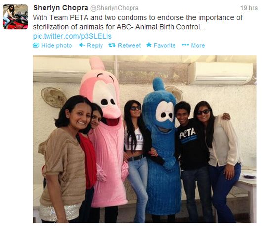 Sherlyn Chopra's tweet