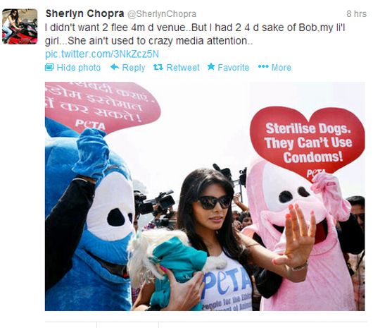 Sherlyn Chopra tweets