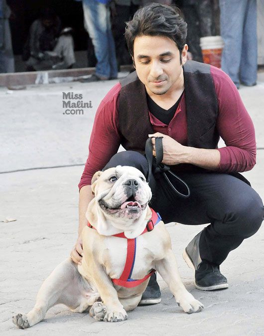 Spotted: Vir Das &#038; His Dog Promote &#8216;Go Goa Gone&#8217;!