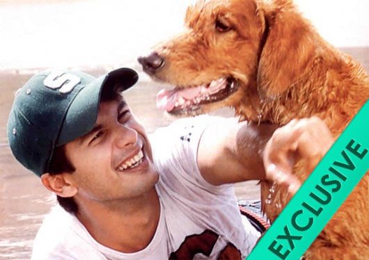 Exclusive: Shahid Kapoor&#8217;s Dog, Kaizer, Passes Away.