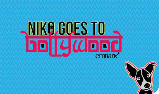 Fashion Preview: Niko Goes To Bollywood – and There’s Lots of Funky Stuff to Shop For!