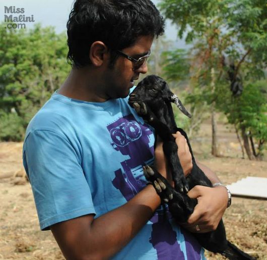 baby goats (photo courtesy: Uday Nanda)