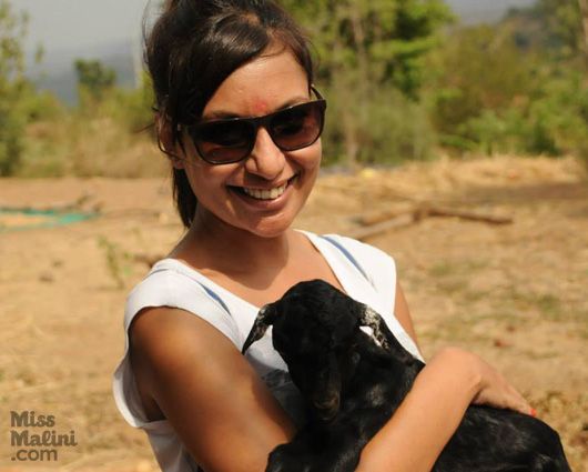 baby goats (photo courtesy: Uday Nanda)