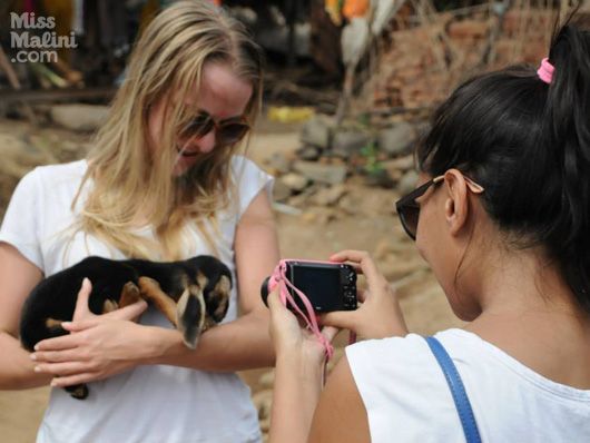 baby goats (photo courtesy: Uday Nanda)