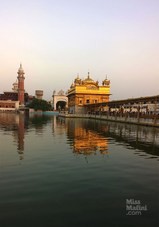 Discover Amritsar: From the Golden Temple to the Flat Gulab Jamun