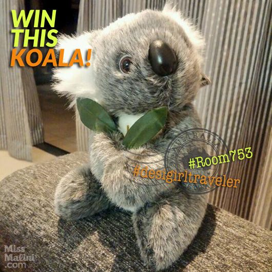 Koala contest