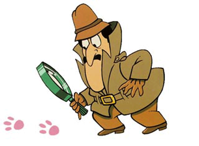 Inspector Clouseou