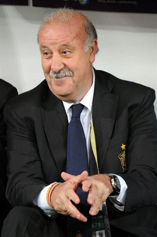 Vincete Del Bosque