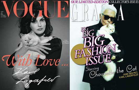 Karl Lagerfeld's Cat, Choupette, Is an Official Muse for A-Listers · The  Wildest