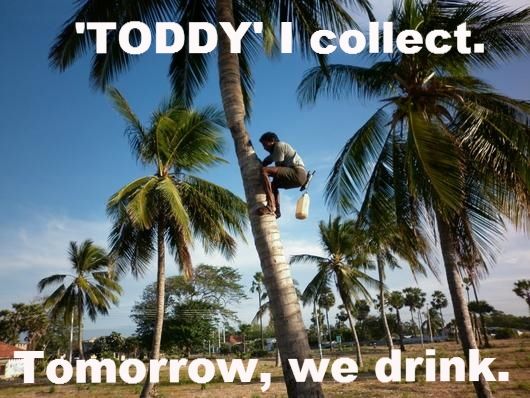 Toddy time!