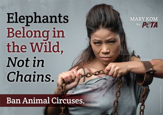 Mary Kom Calls For a BAN Against Animal Circuses!