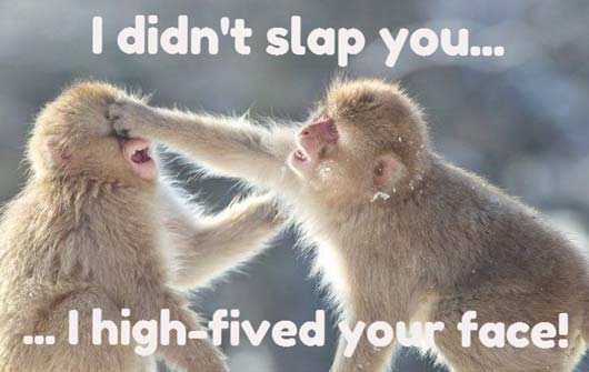 I didn't slap you!