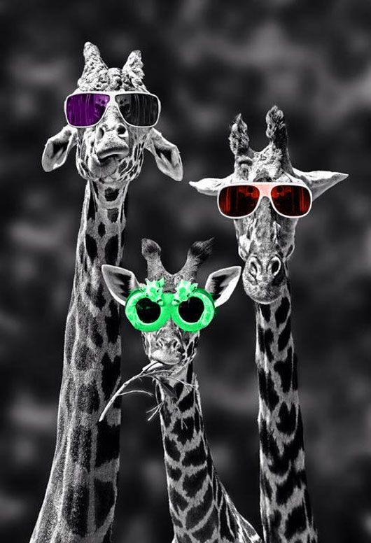 BandraRoad Obsessions: Sunglasses!