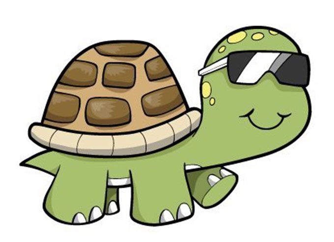 Cool Turtle