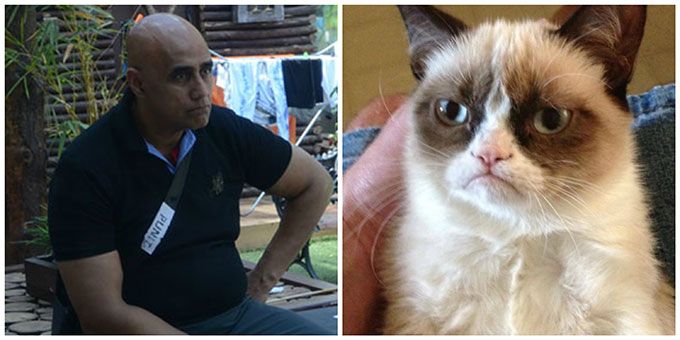 Puneet Issar-Grumpy Cat