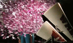 Confetti explosion (Source: Giphy.com)