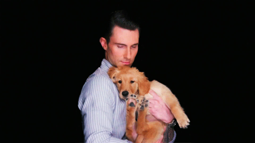 Man Crush Monday: 7 Adam Levine GIFs To Bring Out The ‘Animal’ Inside You!