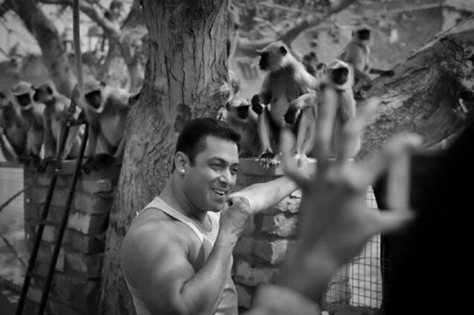 Salman Khan Finds A New Stalker In His Brother-In-Law Who Has Been Clicking His Pictures!