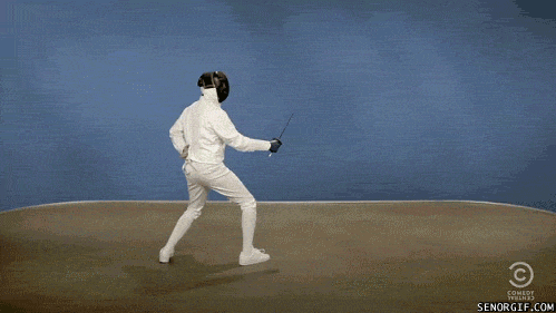 Fencing (Source: www.giphy.com)