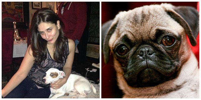 You Won’t Guess Which Celebrity Kareena Kapoor Named Her Pooch After!