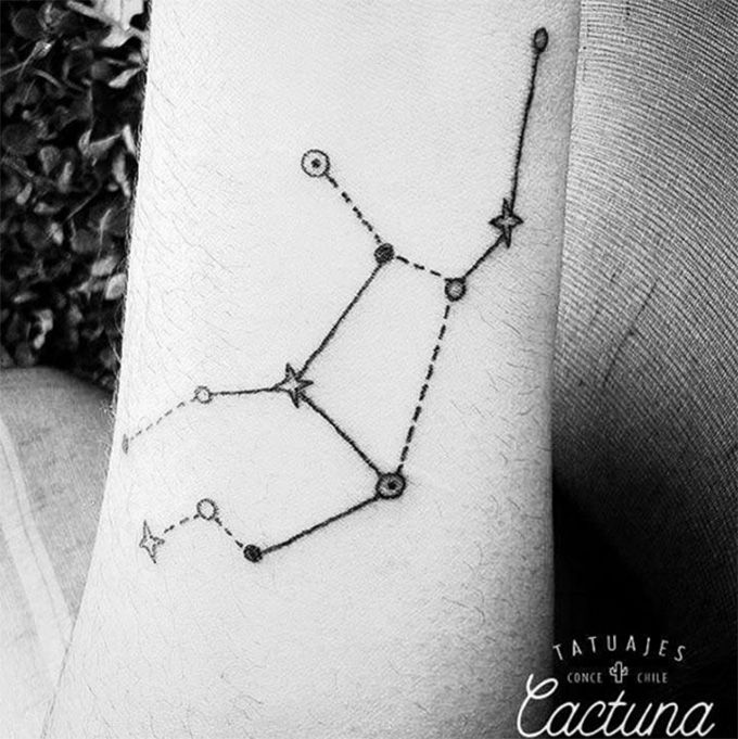 Instagram | cactuna