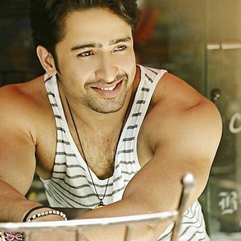 17 Photos Of Shaheer Sheikh That Explains Why He Is Indian Television’s Hottest Property!