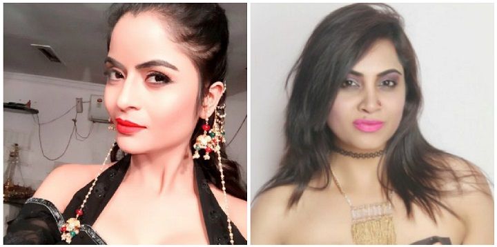Bigg Boss 11: “Forget About Having Sex With Shahid Afridi, She Has Never Met Him” – Gehana Vasisth On Arshi Khan