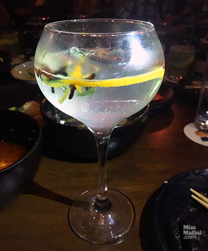 Spanish Style Gin And Tonic