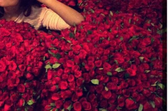 This Actress Just Received 8 Thousand Roses From Her Secret Admirer