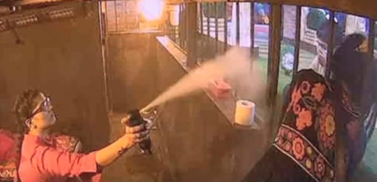 Bigg Boss 11: Umm… Sapna Choudhary Sprays Insect Repellent On Arshi Khan’s Face