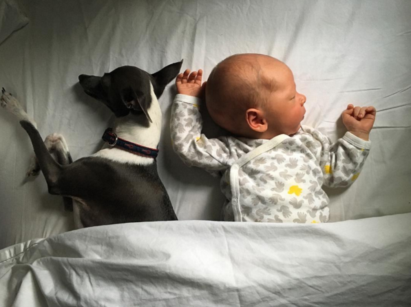 TV Celebrity Posted The Most Endearing Photo Of His Newborn Son And His Dog!