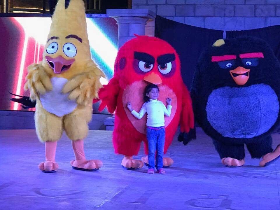 Meet and Greet with Angry Birds