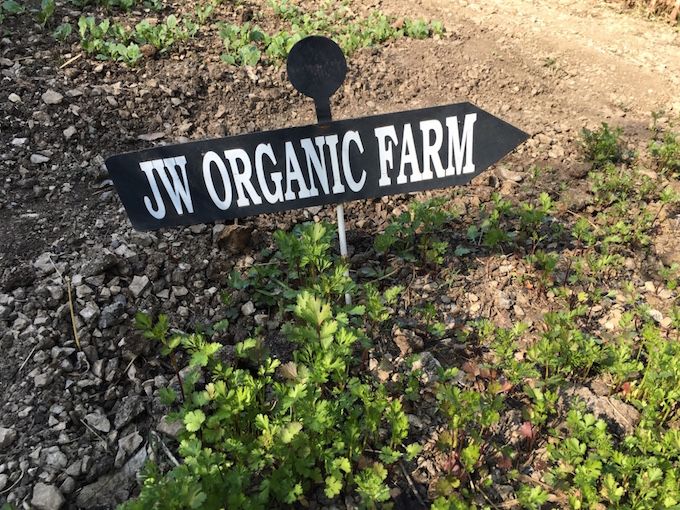 JW Organic Farm