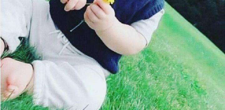 Taimur Ali Khan Is Holding A Flower In His Latest Photo And It’s Just Unfair How Cute He Is