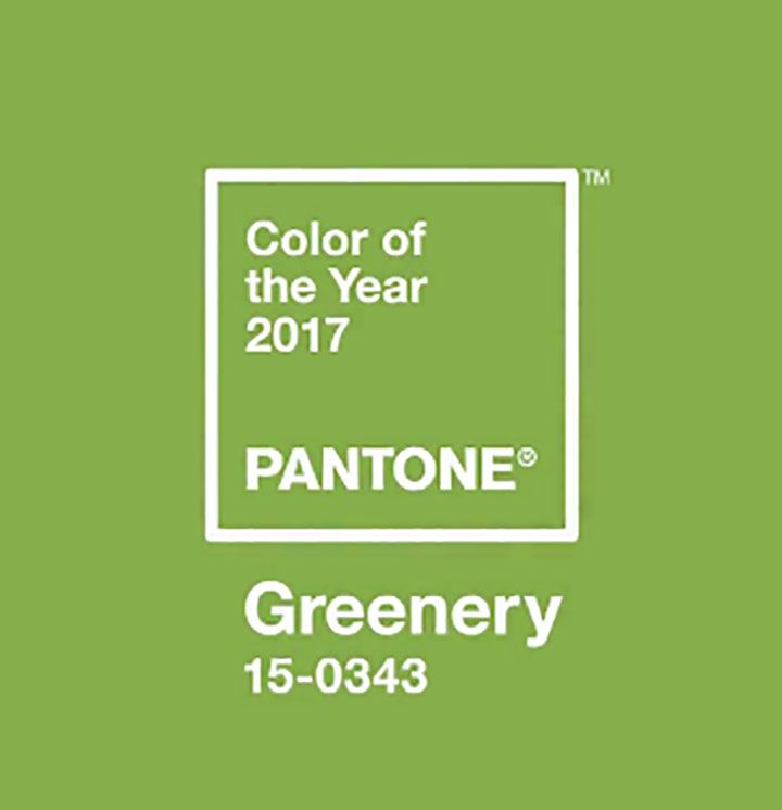 Pantone Colour Of The Year 2017 | Greenery