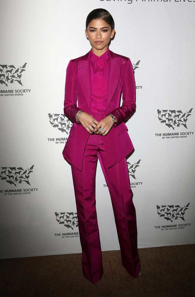 Zendaya at The Humane Society Gala | Source: imagesource.com