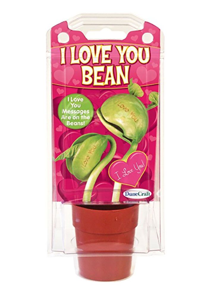 I Love You Bean (sourced image from amazon.in)